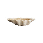 Retro Shell-shaped Fruit Plate Tray - image 1
