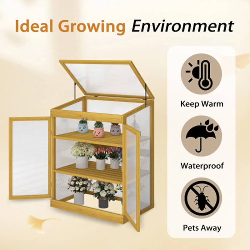 Outdoor Wood Frame Greenhouse - image 6
