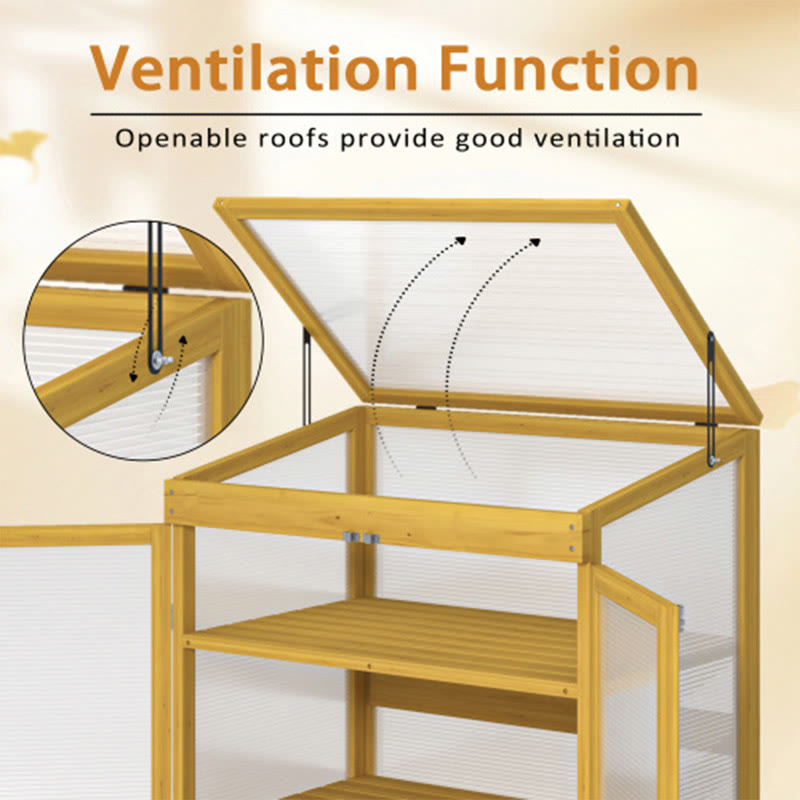 Outdoor Wood Frame Greenhouse