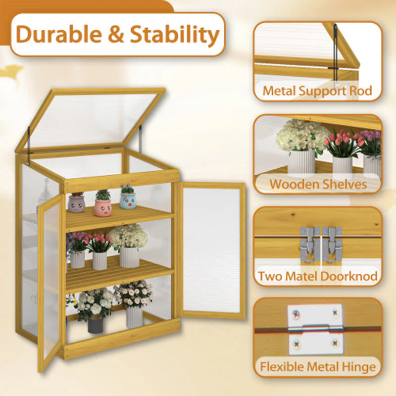 Outdoor Wood Frame Greenhouse - image 4