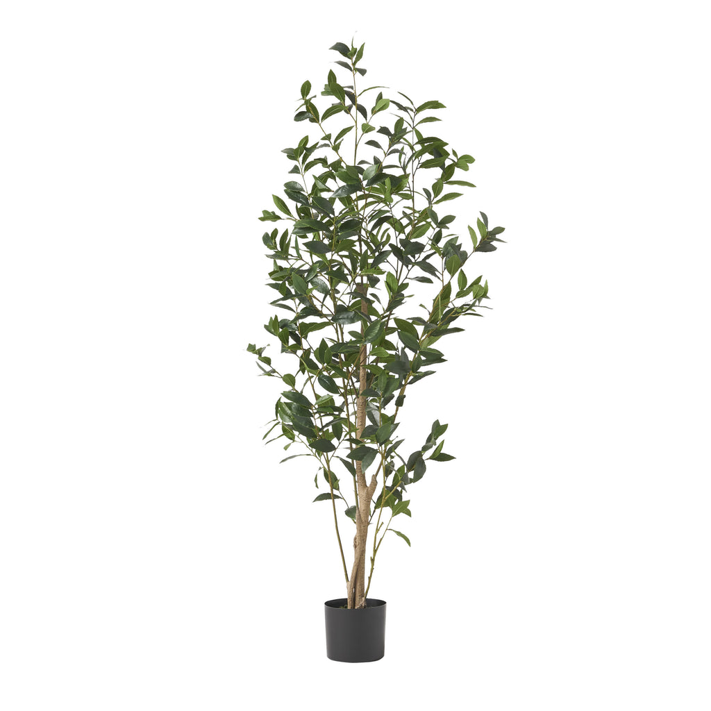 Artificial Laurel Tree Decor