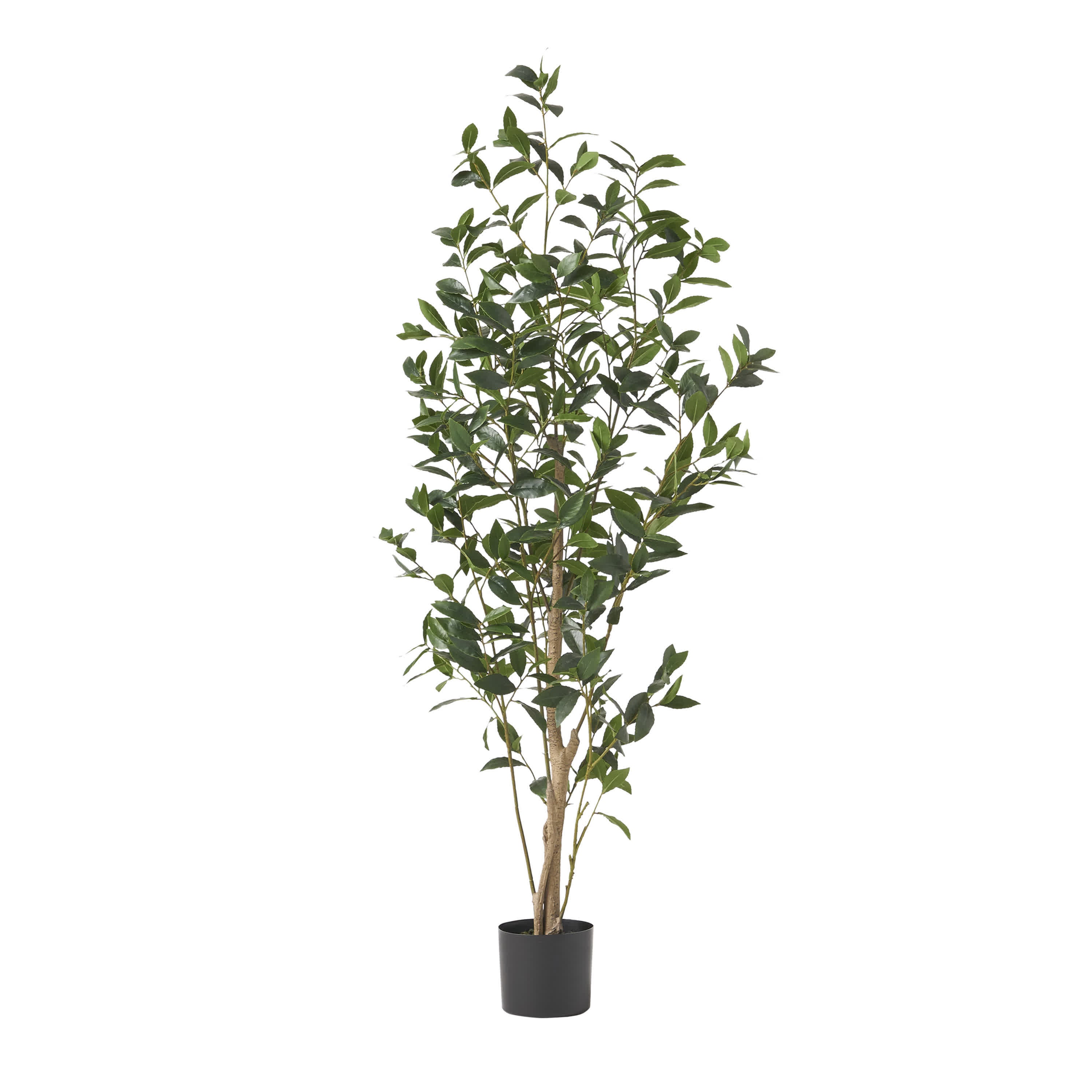 Artificial Pachira Macrocarpa Tree Decor