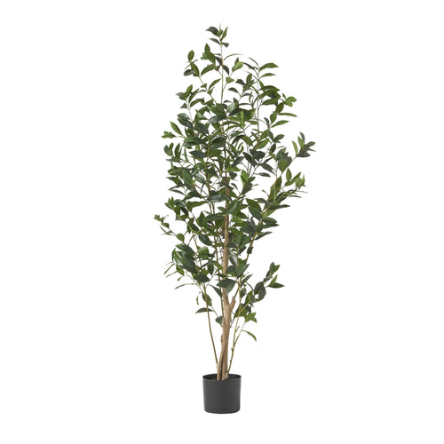 Artificial Pachira Macrocarpa Tree Decor - image 1