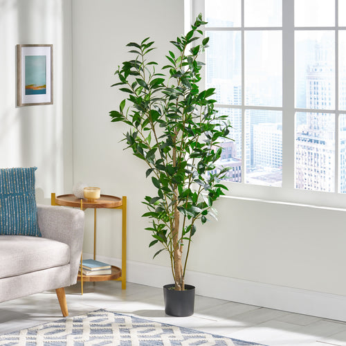 Artificial Pachira Macrocarpa Tree Decor - Green - 31.50"L x 31.50"W x 63.00"H - image 0