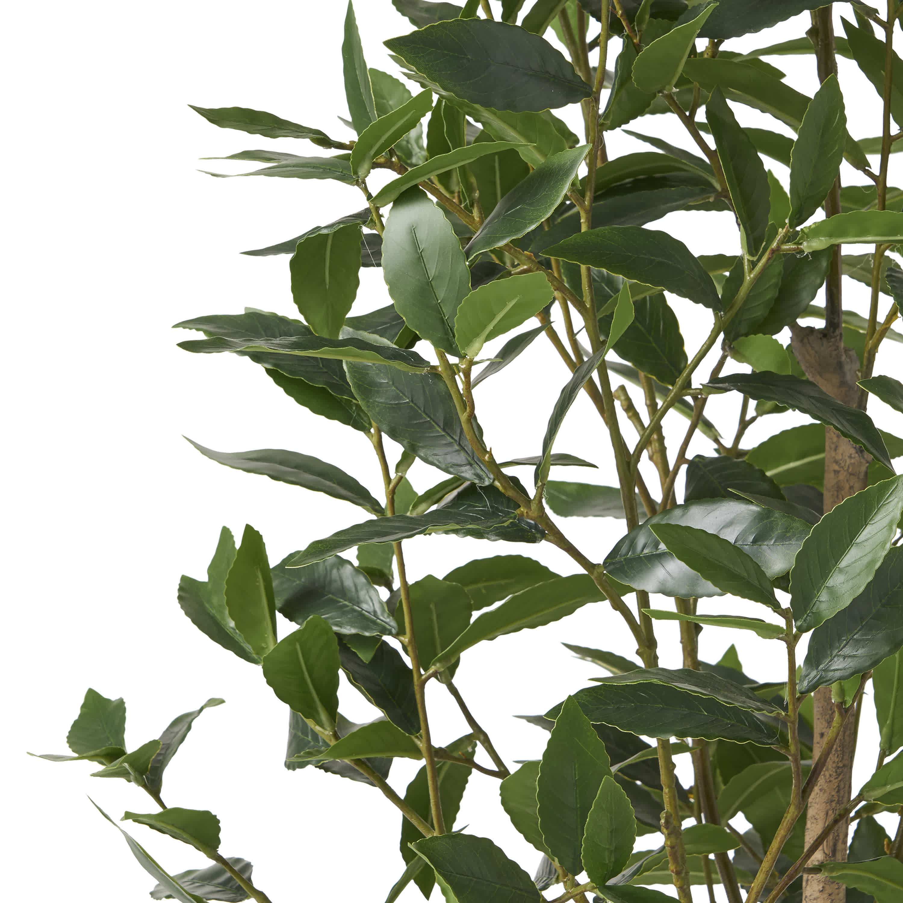 Artificial Pachira Macrocarpa Tree Decor - image 3