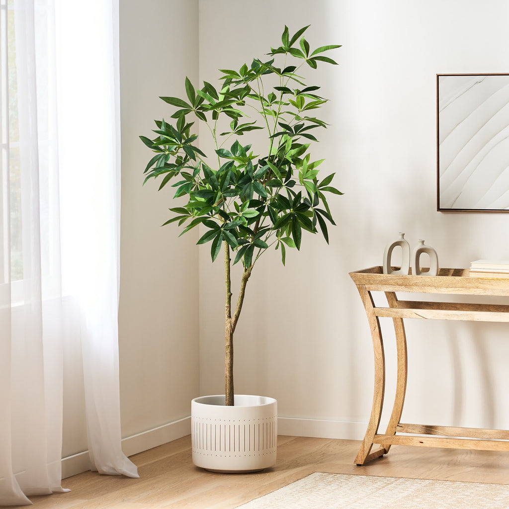 Artificial Money Tree Potted Decor - Green - 35.40"L x 31.50"W x 70.90"H - image 0