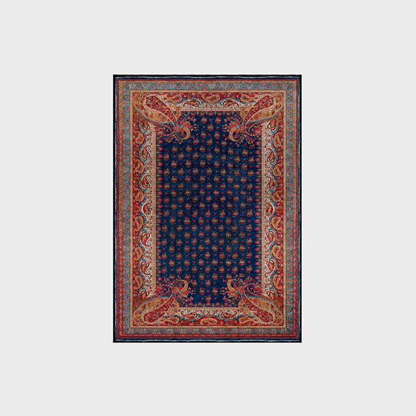 Retro Paisley Soft Anti-slip Indoor Outdoor Rug - image 4