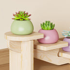 Wooden Desktop Multi-tier Organizer Plant Stand - image 5