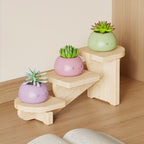 Wooden Desktop Multi-tier Organizer Plant Stand - image 2