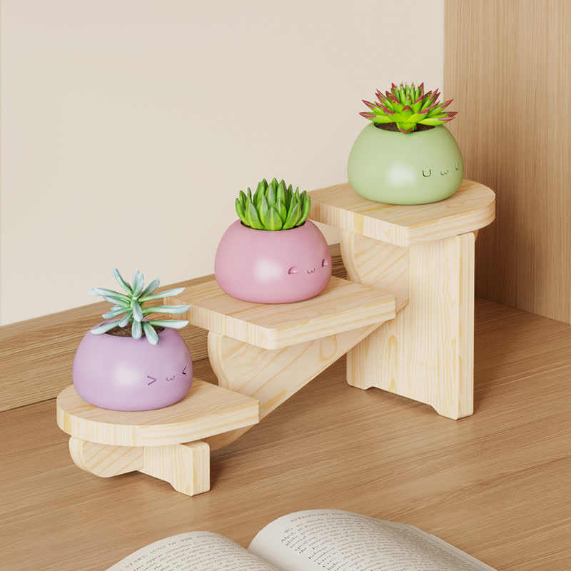Wooden Desktop Multi-tier Organizer Plant Stand