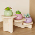 Wooden Desktop Multi-tier Organizer Plant Stand - Cream - image 0