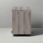 Taupe Storage File Cabinet - image 3