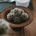 Elevated Vintage Wooden Tray - image 9