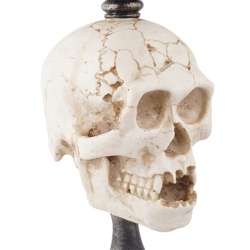 Weathered Texture Skull Candle Holder - image 9