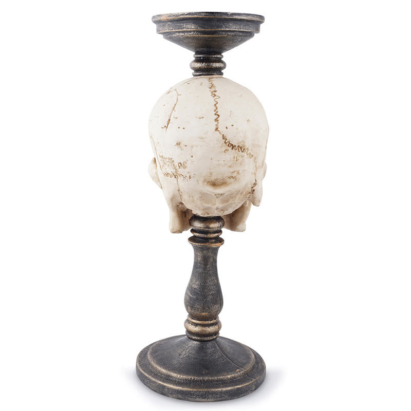 Weathered Texture Skull Candle Holder - image 7