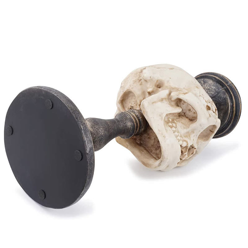 Weathered Texture Skull Candle Holder - image 8