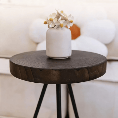 Carbonized Solid Wood Ginkgo Coffee Table - image 5