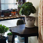 Carbonized Solid Ginkgo Wood Tripod Side Table - image 6
