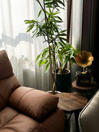 Carbonized Solid Ginkgo Wood Tripod Side Table - image 8