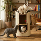 Sisal Wooden Cat Tree & Pet House Combo With Scratching Sisal Board Cat Ball - Beige - image 0