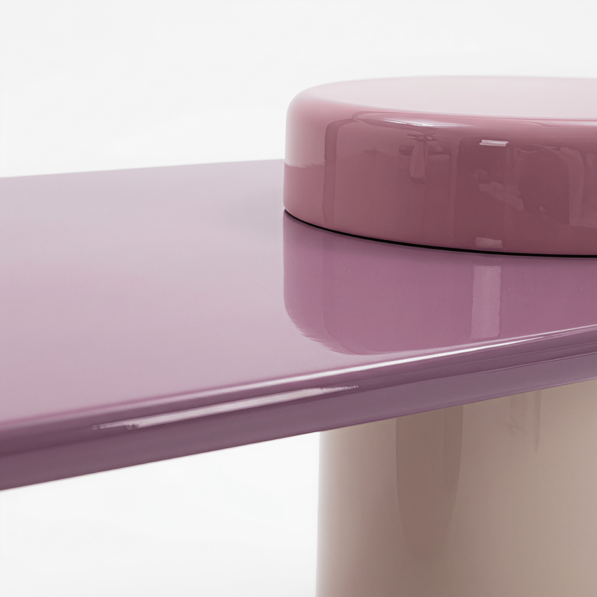 Co-living Coffee Table – Human & Pet Shared Space Design - image 6