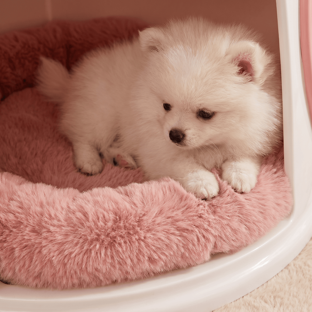Co-Living Pet Pod Table – Human & Pet Shared Living Design - image 6