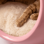 Pink Dual-chamber Human & Pet Shared Side Table - image 5