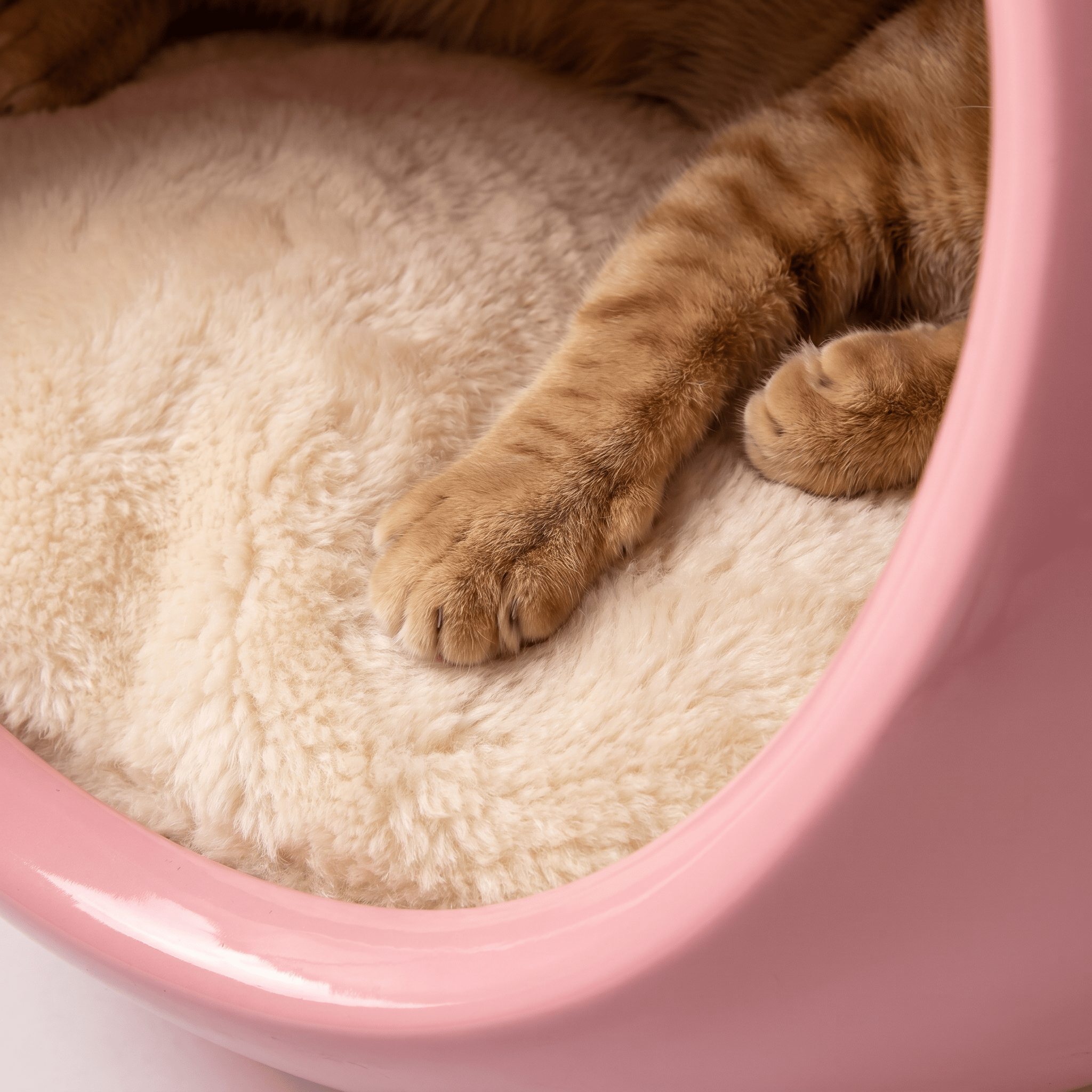 Pink Dual-chamber Human & Pet Shared Side Table - image 5