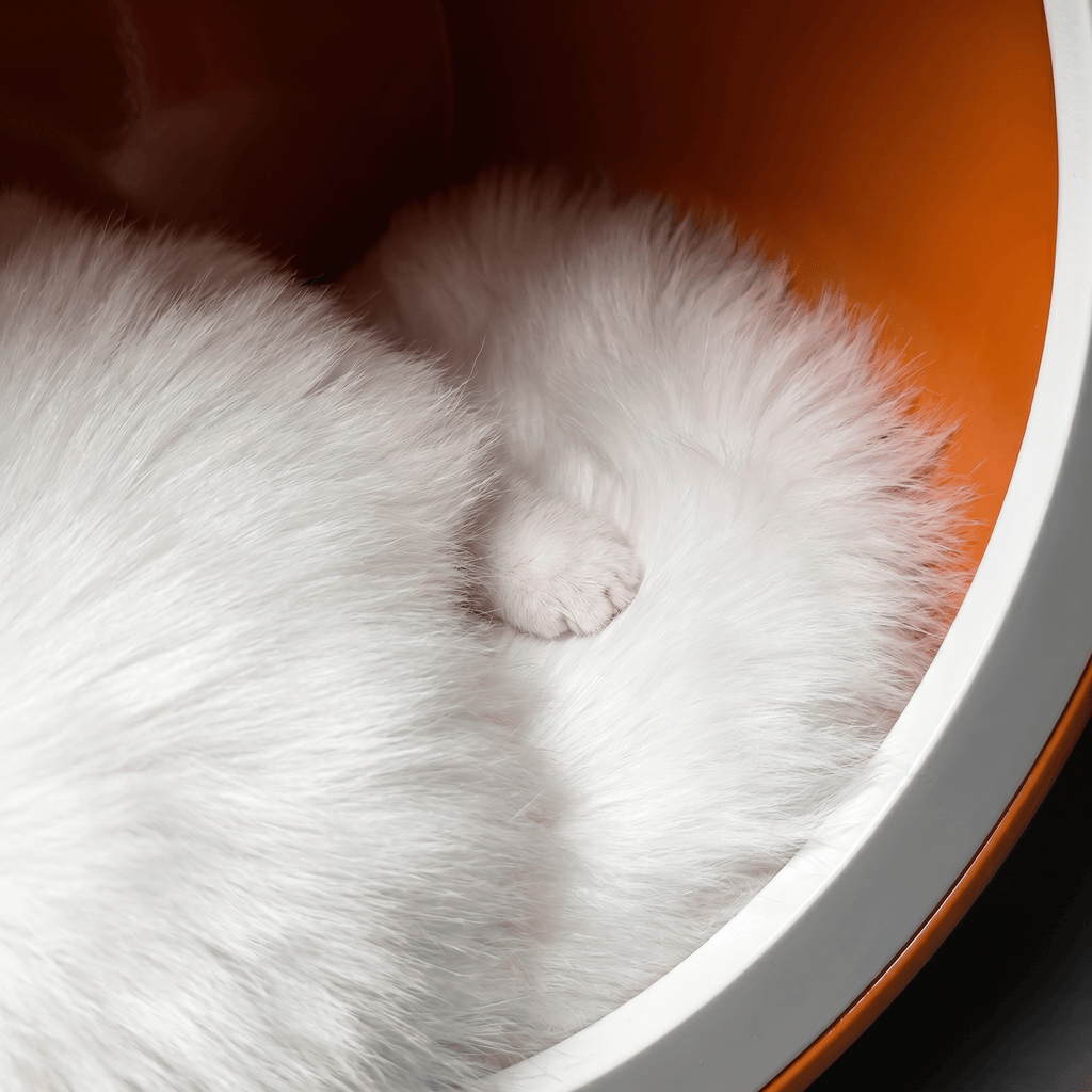 Orange Single-Chamber Human & Pet Shared Side Table - image 7