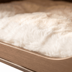 Walnut Finish Single-Chamber Human & Pet Shared Side Table - image 5