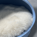 Dual-level Pet Lounge Side Table - image 4