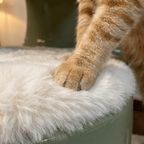 S-Flow Dual Layer Pet Side Table - image 4