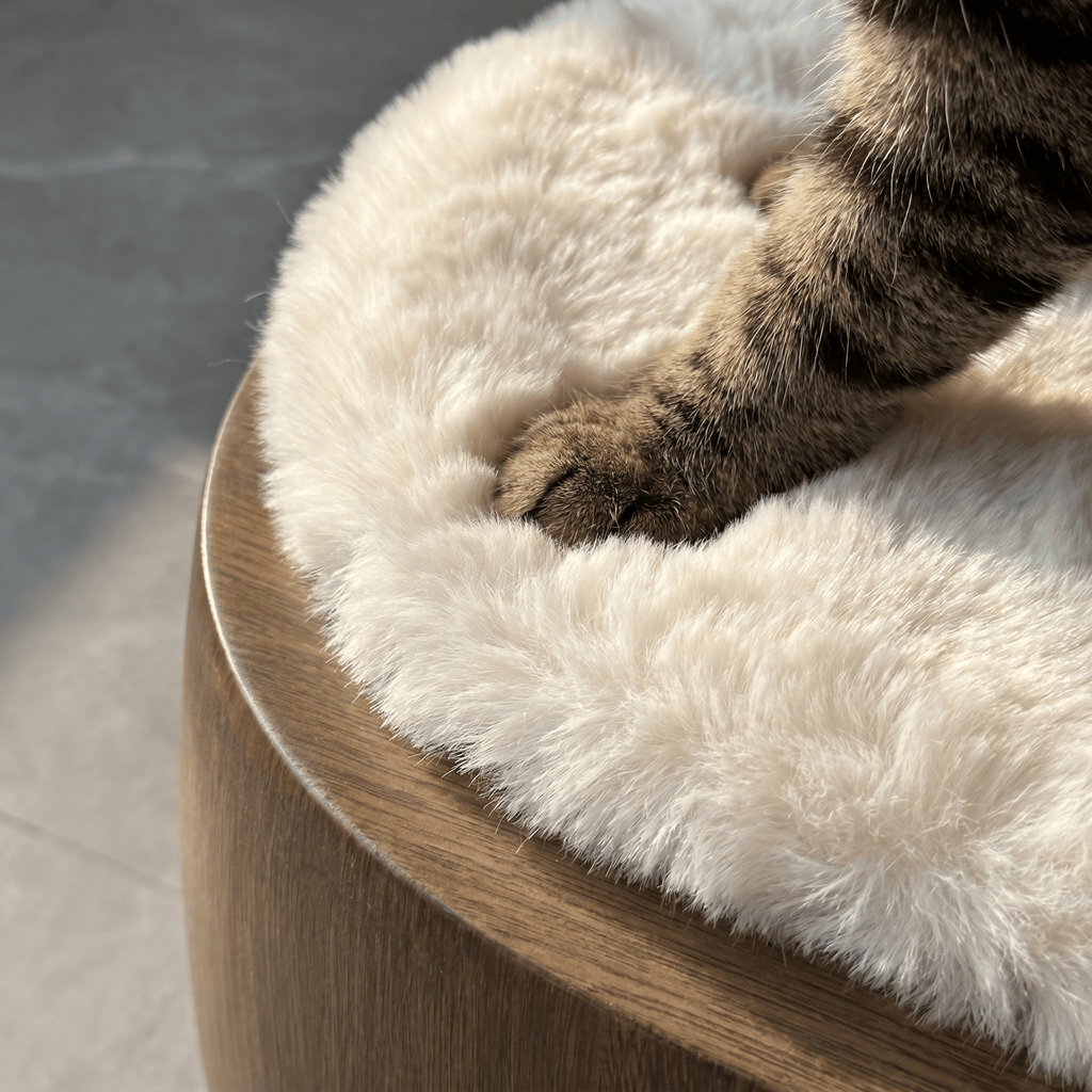 Walnut Finish Flow Pet Side Table - image 6