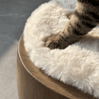 Walnut Finish Flow Pet Side Table - image 6
