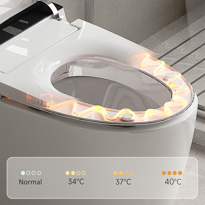 Smart Toilet with Heated Bidet Seat